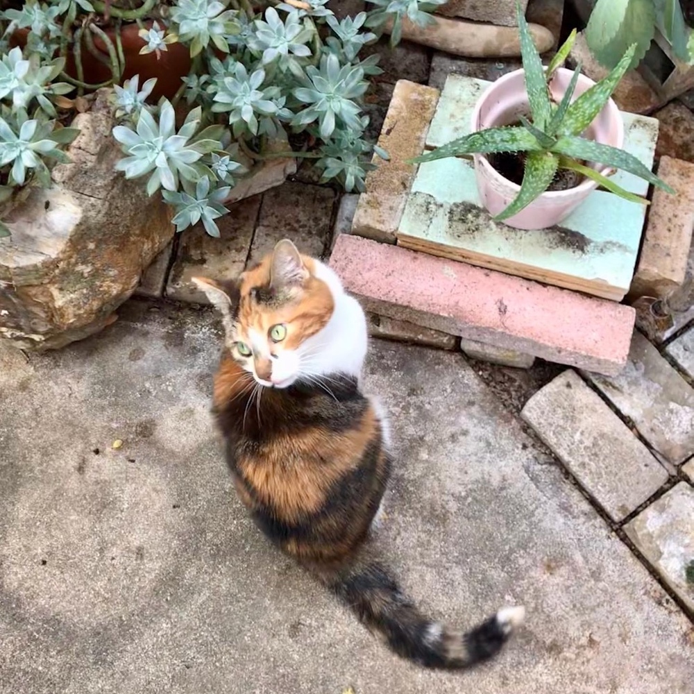 Meet your Posher, Posh
